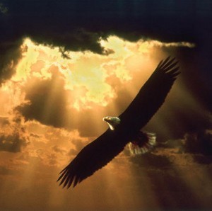 l'aigle qui s'envole vers le ciel d'or, ADD ADHD HSP - Stand in your Power (en anglais)